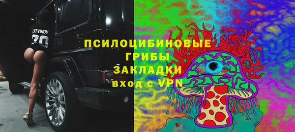 таблы Богданович