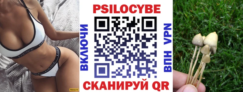 сайты даркнета клад  Дорогобуж  Псилоцибиновые грибы Cubensis 